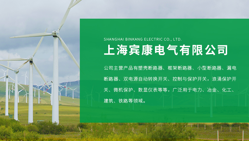 上海宾康电气有限公司